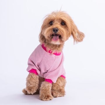 PawStar Pembe Bone Hunter Sweat Küçük ve Orta Irk