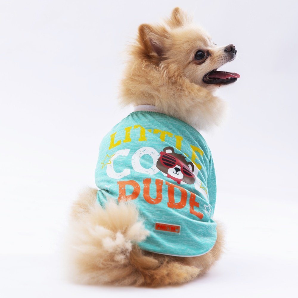 PawStar Mint Dude Küçük Irk Sweat