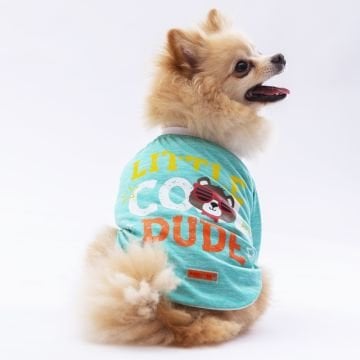 PawStar Mint Dude Küçük Irk Sweat