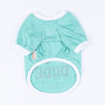 PawStar Mint Dude Küçük Irk Sweat