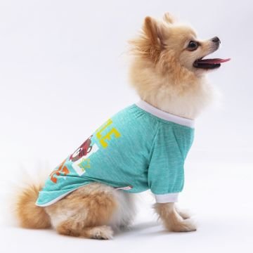 PawStar Mint Dude Küçük Irk Sweat