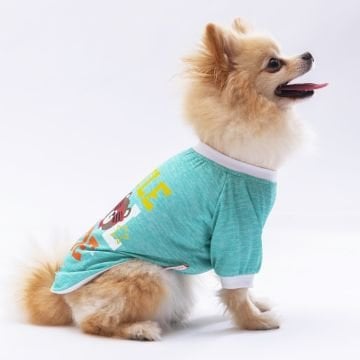 PawStar Mint Dude Küçük Irk Sweat