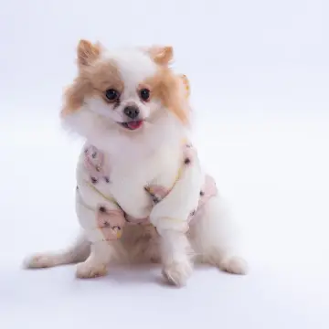 PawStar 25726 Kahverengi Sapporo Bear Hoodie