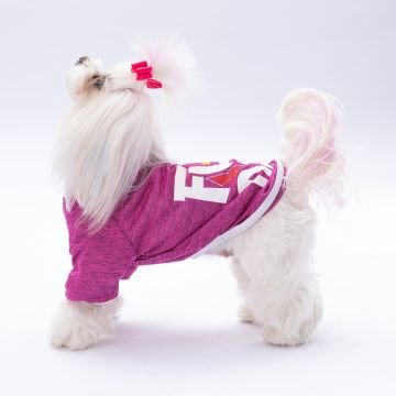 PawStar Fuşya Fun Day Küçük Irk Sweat