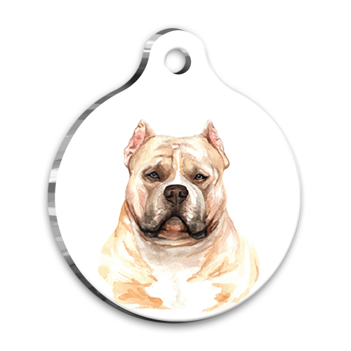 PetTagArt QR-ECS136-M QR Tag Smart ID Akıllı Kimlik