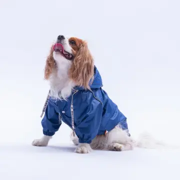 PawStar 25507 Lacivert Pluvia Yağmurluk Küçük ve Orta Irk