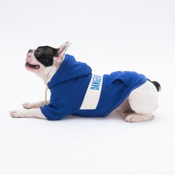 PawStar Mavi Cute Hoodie Küçük ve Orta Irk