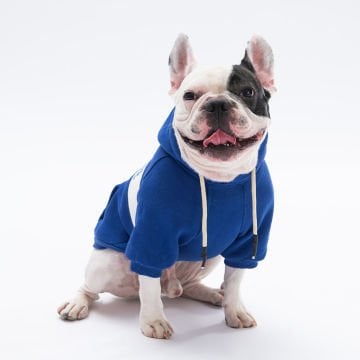 PawStar Mavi Cute Hoodie Küçük ve Orta Irk