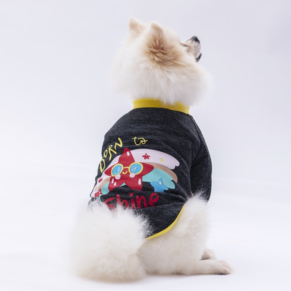 PawStar Siyah Shine Küçük Irk Sweat