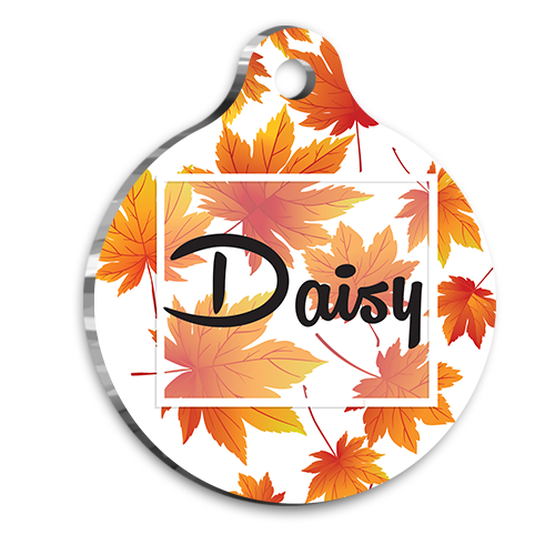 Sonbahar Yapraklı Kedi Köpek Künyesi Medium 3 cm