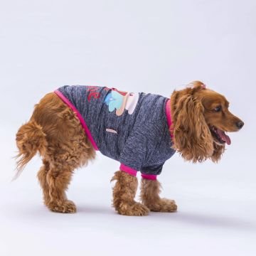 PawStar Antrasit Shine Küçük Irk Sweat
