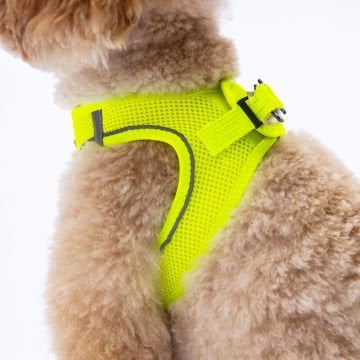 PawStar  Neon Yellow- Neon Sarı Airmesh Köpek Göğüs Tasması