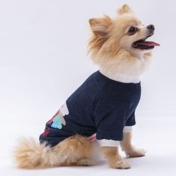 PawStar Lacivert Shine Küçük Irk Sweat