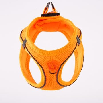 PawStar  Neon Orange - Neon Turuncu Airmesh Köpek Göğüs Tasması