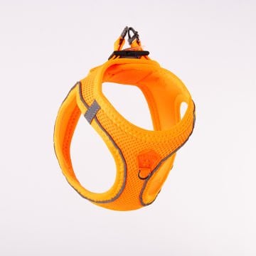 PawStar  Neon Orange - Neon Turuncu Airmesh Köpek Göğüs Tasması