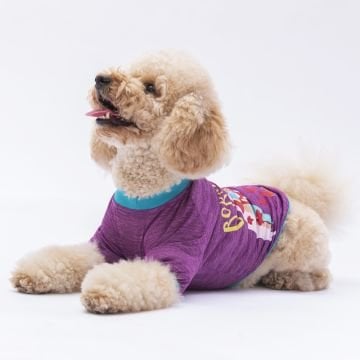 PawStar Mor Shine Küçük Irk Sweat