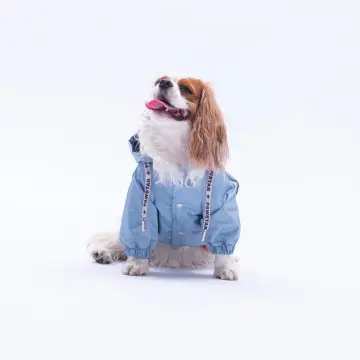 PawStar 25501 Gri Pluvia Yağmurluk Küçük ve Orta Irk