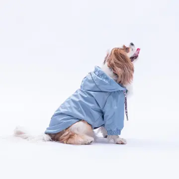 PawStar 25501 Gri Pluvia Yağmurluk Küçük ve Orta Irk