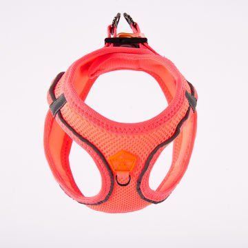 PawStar  Neon Pink - Neon Pembe Airmesh Köpek Göğüs Tasması