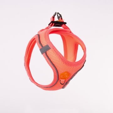 PawStar  Neon Pink - Neon Pembe Airmesh Köpek Göğüs Tasması