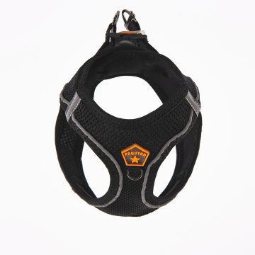 PawStar  Black - Siyah Airmesh Köpek Göğüs Tasması