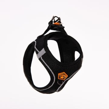 PawStar  Black - Siyah Airmesh Köpek Göğüs Tasması