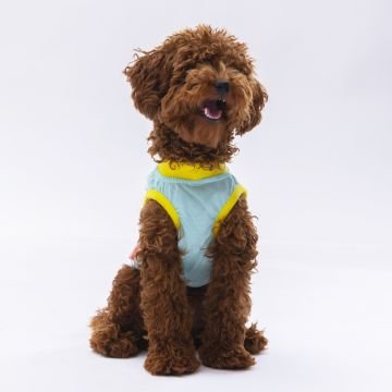 PawStar Mint Sunrise T-Shirt