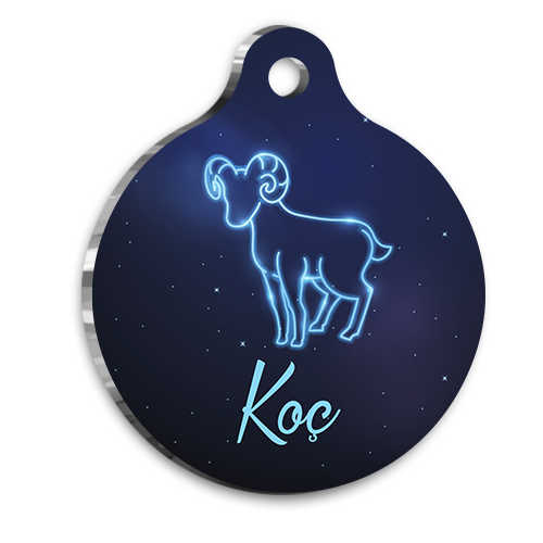 Koç Burcu Kedi Köpek Künyesi Large 2,9 x 5 cm