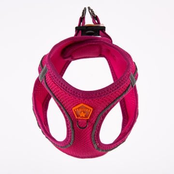 PawStar  Fucshia - Fuşya Airmesh Köpek Göğüs Tasması