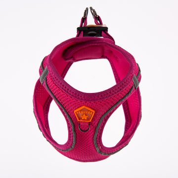 PawStar  Fucshia - Fuşya Airmesh Köpek Göğüs Tasması