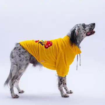 PawStar 25753 Sarı Porto Cozy Büyük Irk Sweat