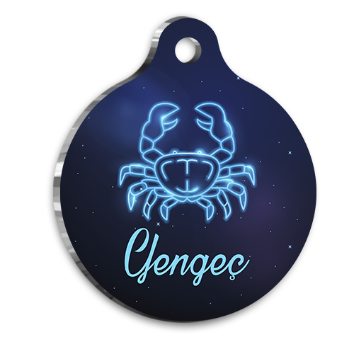 Yengeç Burcu Kedi köpek Künyesi Medium 2,6 x 3,8 cm