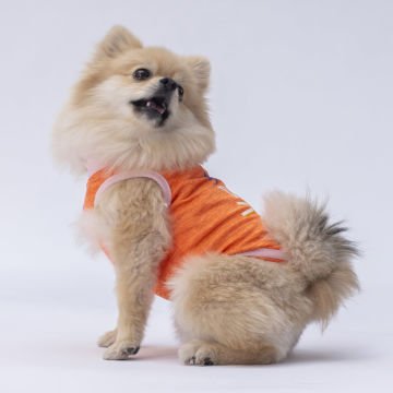 PawStar Turuncu Joy T-Shirt