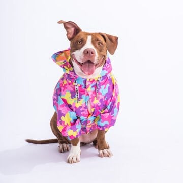 PawStar Rosea Camouflage Büyük Irk Yağmurluk