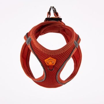 PawStar  Terracotta - Kiremit Airmesh Köpek Göğüs Tasması