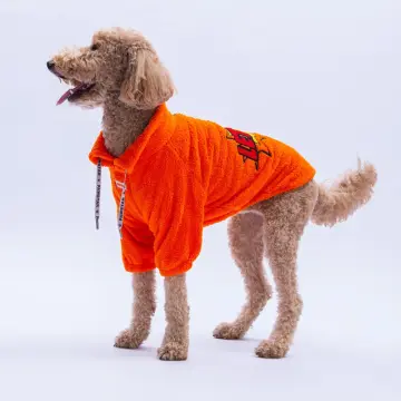 PawStar 25754 Turuncu Doha Go! Büyük Irk Sweat