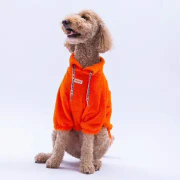 PawStar 25754 Turuncu Doha Go! Büyük Irk Sweat