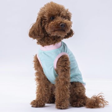 PawStar Mint Joy T-Shirt