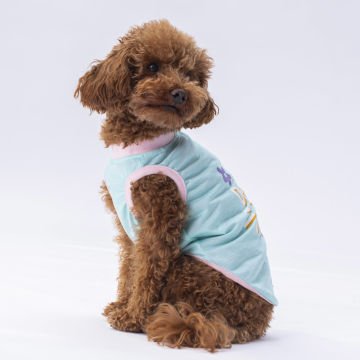 PawStar Mint Joy T-Shirt
