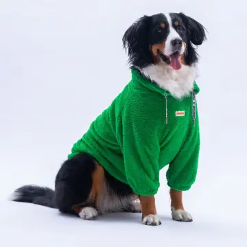 PawStar 25755 Yeşil Oslo Chill Büyük Irk Sweat