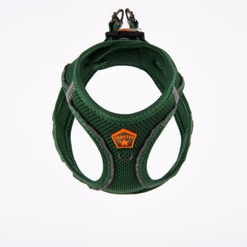 PawStar  Pine Green - Çam Yeşili Airmesh Köpek Göğüs Tasması