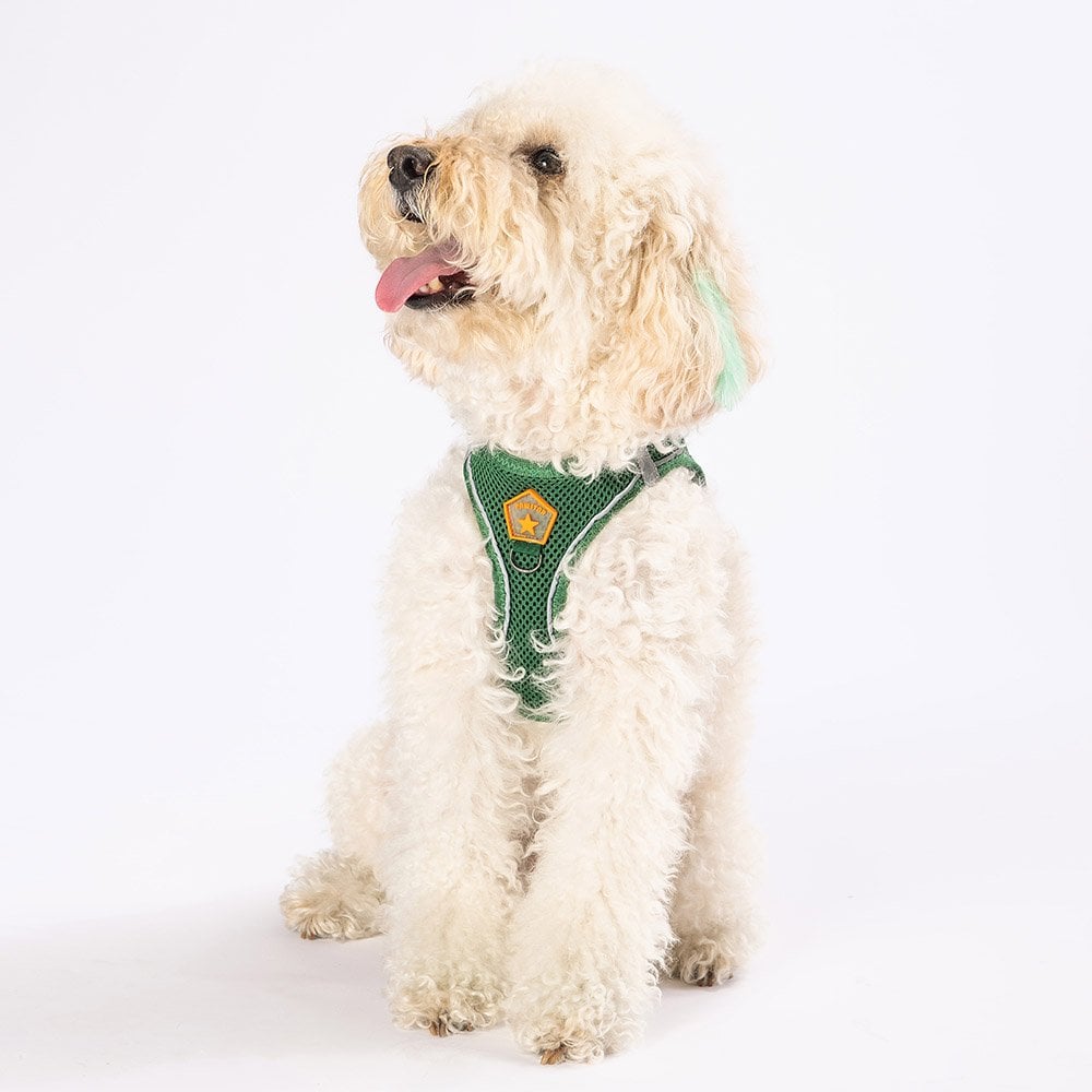 PawStar  Pine Green - Çam Yeşili Airmesh Köpek Göğüs Tasması