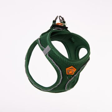 PawStar  Pine Green - Çam Yeşili Airmesh Köpek Göğüs Tasması
