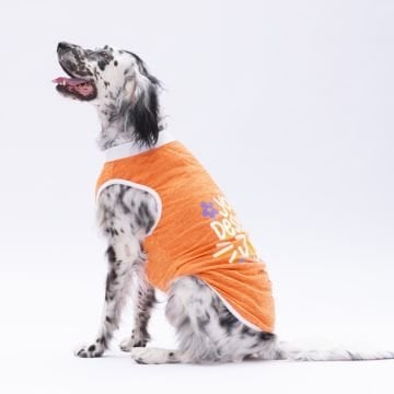 PawStar Turuncu Joy Büyük Irk T-Shirt