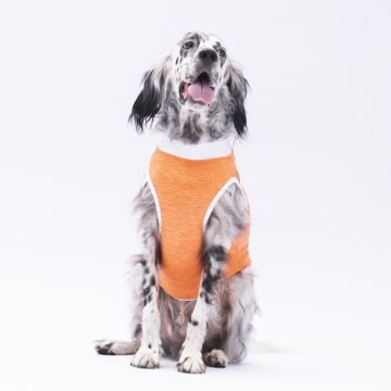 PawStar Turuncu Joy Büyük Irk T-Shirt