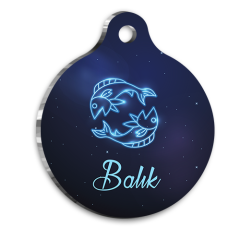 Balık Burcu Kedi köpek Künyesi Small 2 x 3,5 cm