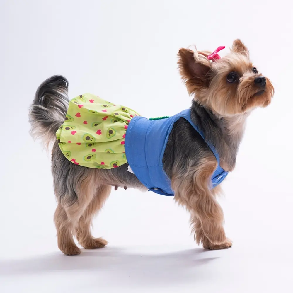 PawStar 26311 Avo Bliss Denim Elbise