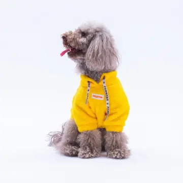PawStar 25719 Sarı Porto Cozy Sweat