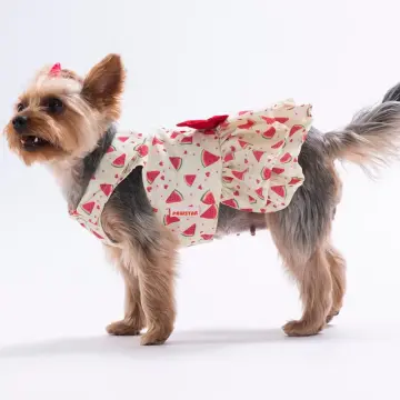 PawStar 26310 Berry Crush Elbise