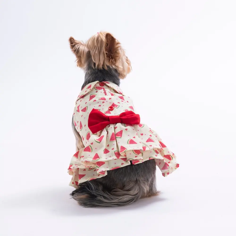 PawStar 26310 Berry Crush Elbise